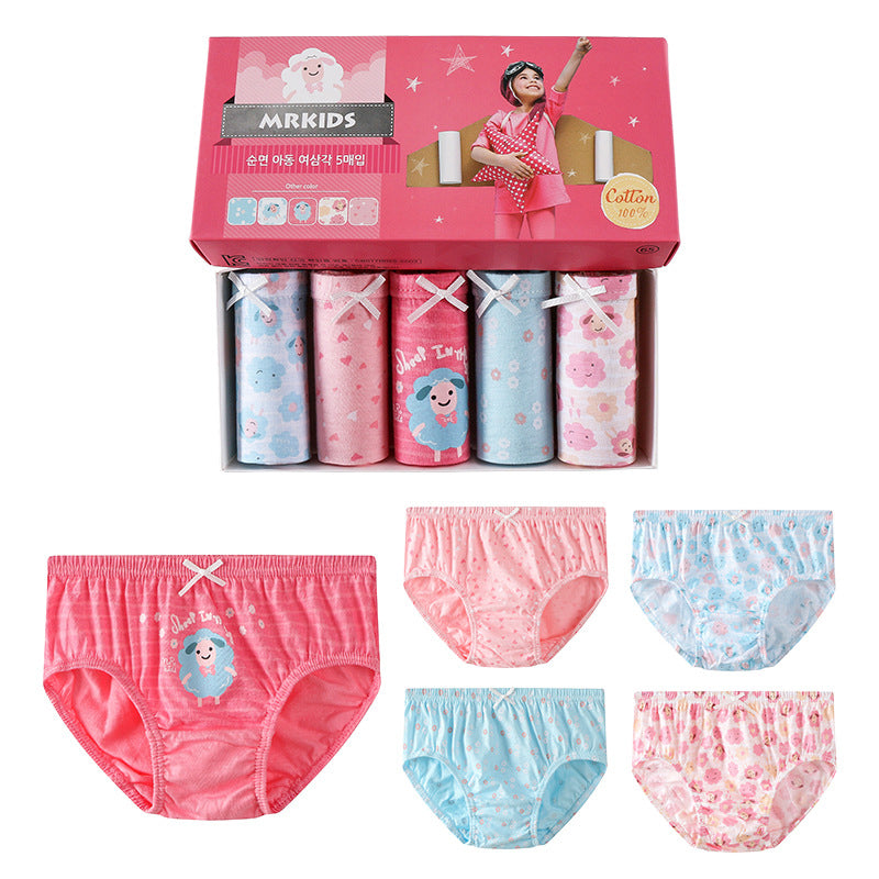 Cheska 5 in 1 Panties