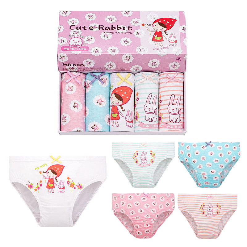Cheska 5 in 1 Panties
