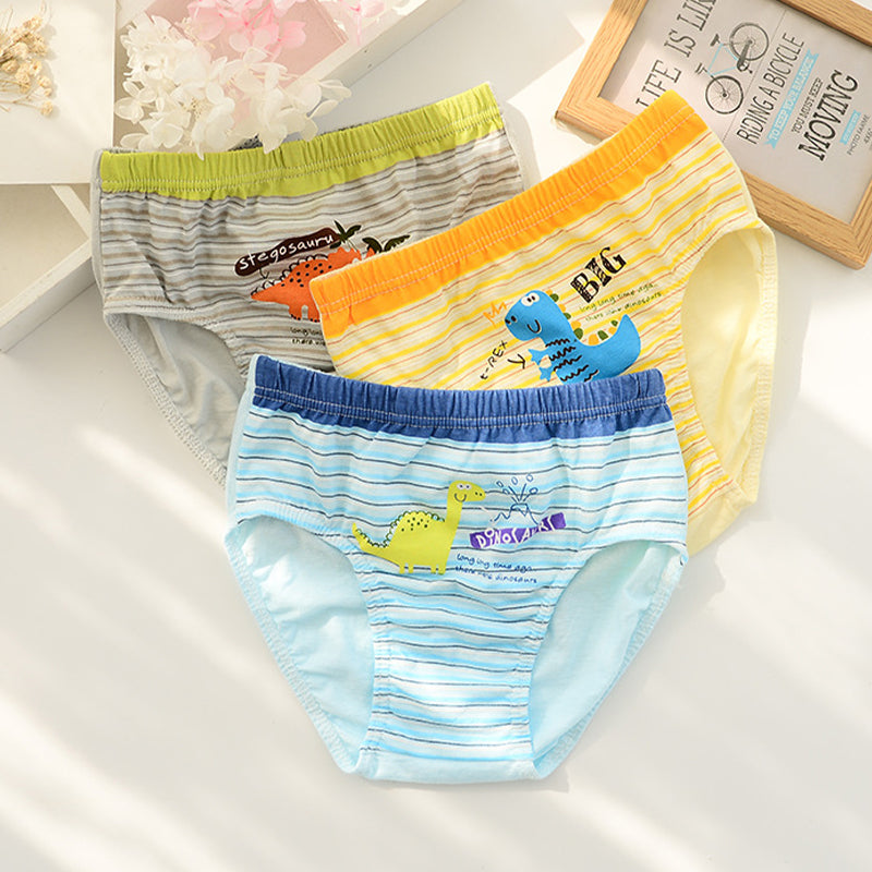 5 in 1 Dino Set Briefs for Boys 1 to 13 YO