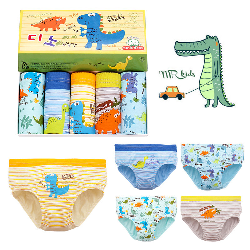 5 in 1 Dino Set Briefs for Boys 1 to 13 YO