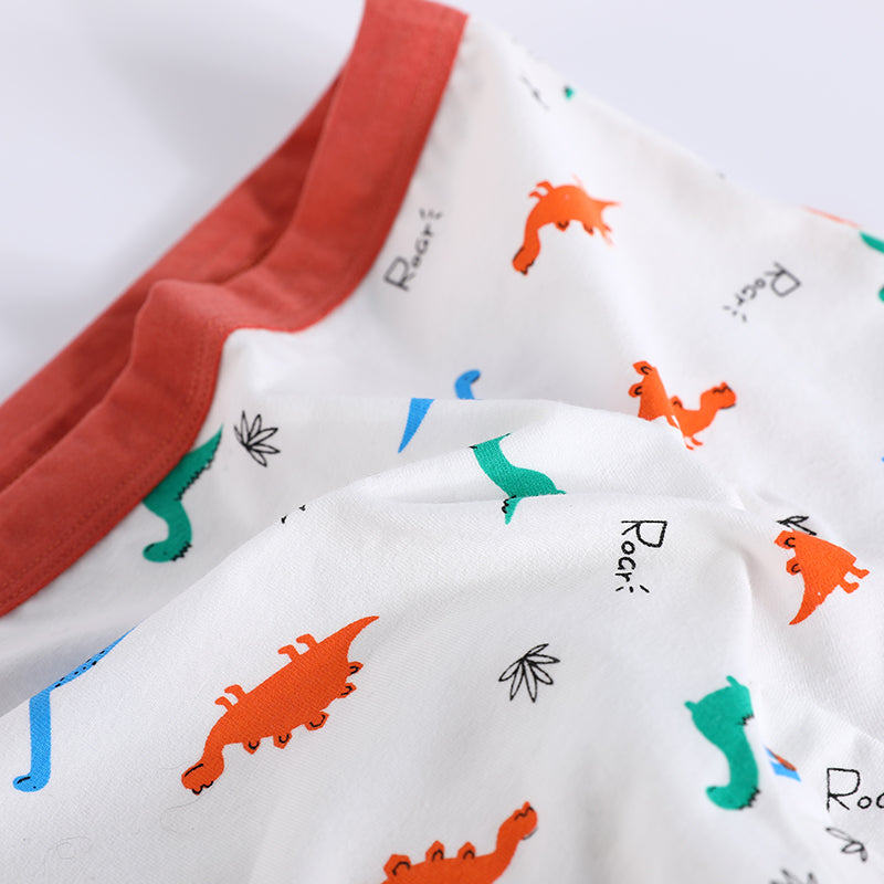 4 in 1 Pack Boxer Shorts for Boys 1-13Y