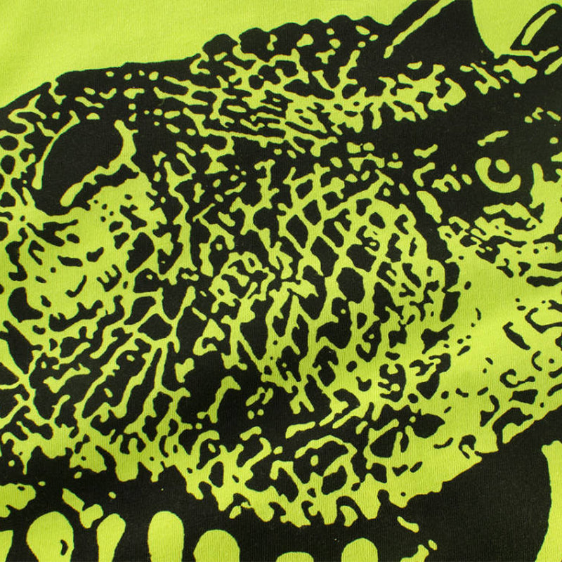 Stylish Dino Shirt for Boys 1-10 Y