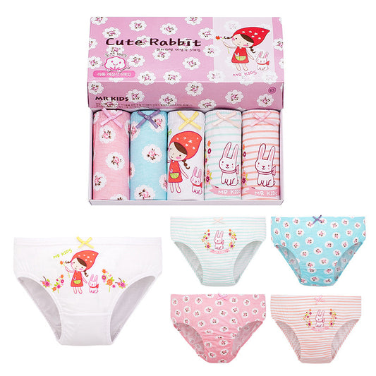 Cheska 5 in 1 Panties