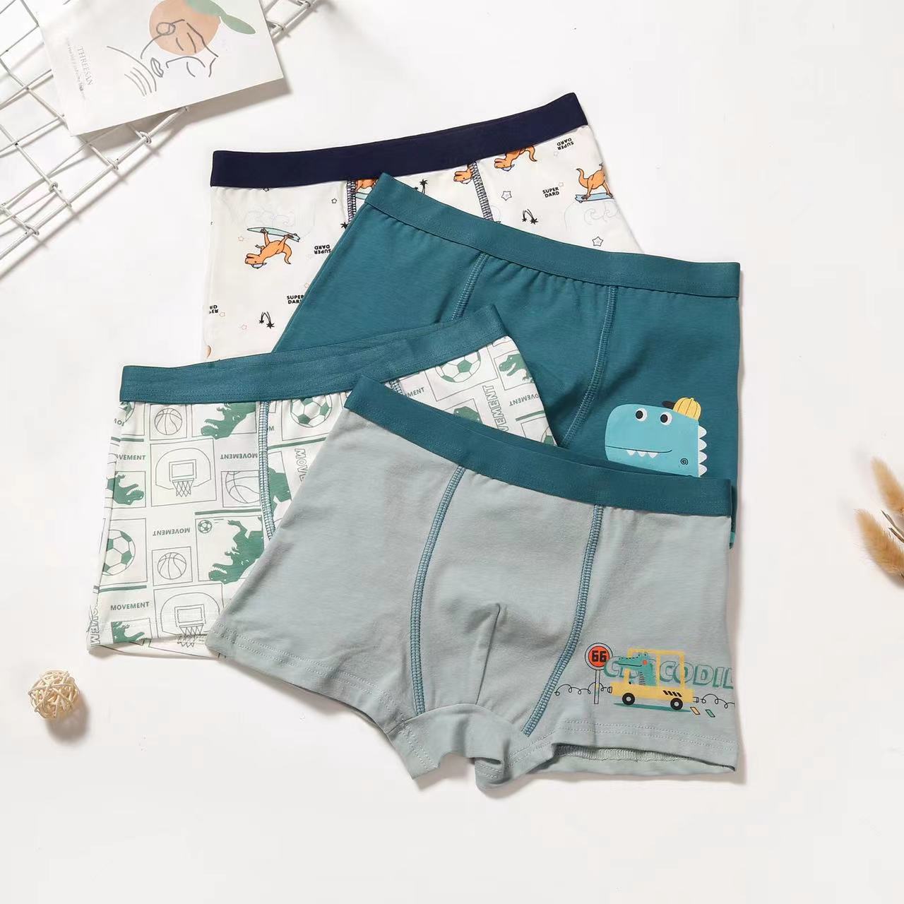 Kids 4 Pcs Boxer Underwear Soft Shorts Cartoon Dinosaur Animal Print for Boy 1-13Y
