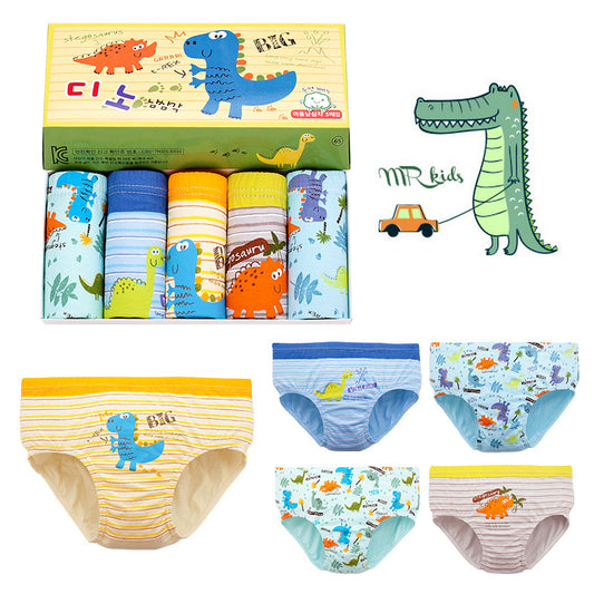 5 in 1 Dino Set Briefs for Boys 1 to 13 YO