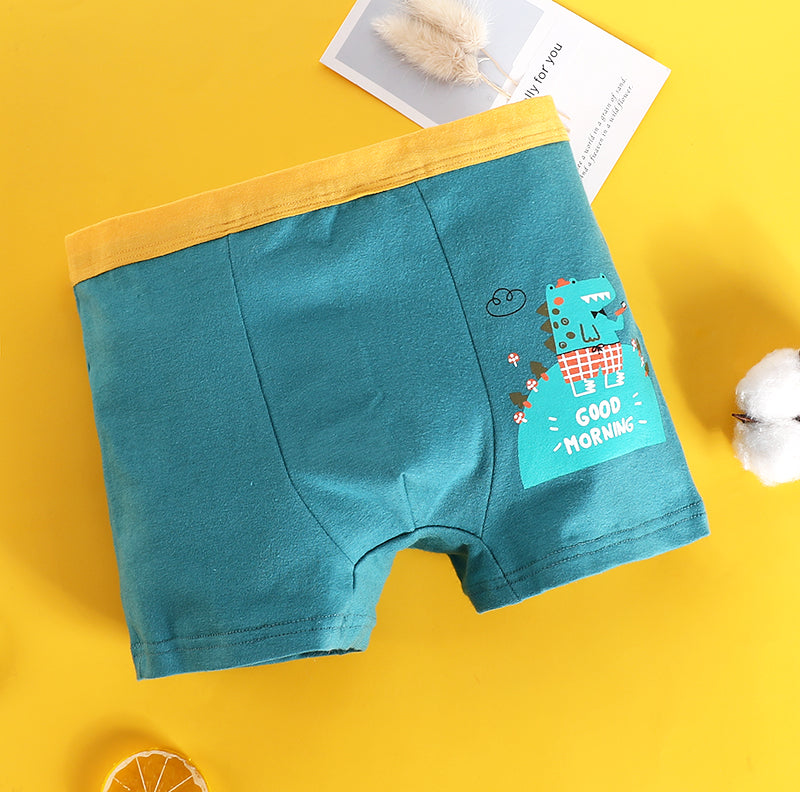 4 in 1 Pack Boxer Shorts for Boys 1-13Y